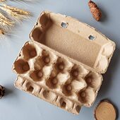 灰浆十枚个鸡蛋盒只防震装 餐防摔10鸡蛋托鸡蛋托野0户外10