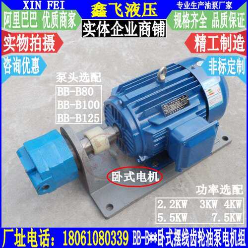 WBZ-BB-B80 B100 B125卧式摆线齿轮油泵电机组装置WBBZ 5.5KW