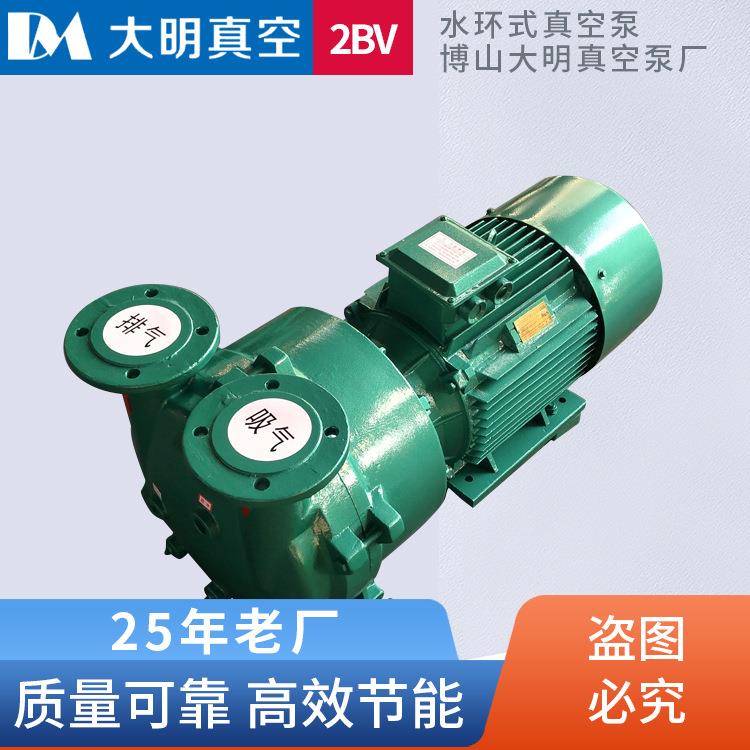 淄博厂家直供15KW水环式真空泵铸铁不锈钢2BV5161水环式真空泵