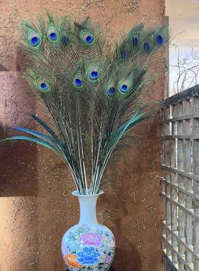 9支天然大眼睛真孔雀羽毛家居装饰插花瓶摆件DIY孔雀翎尾寓意吉祥