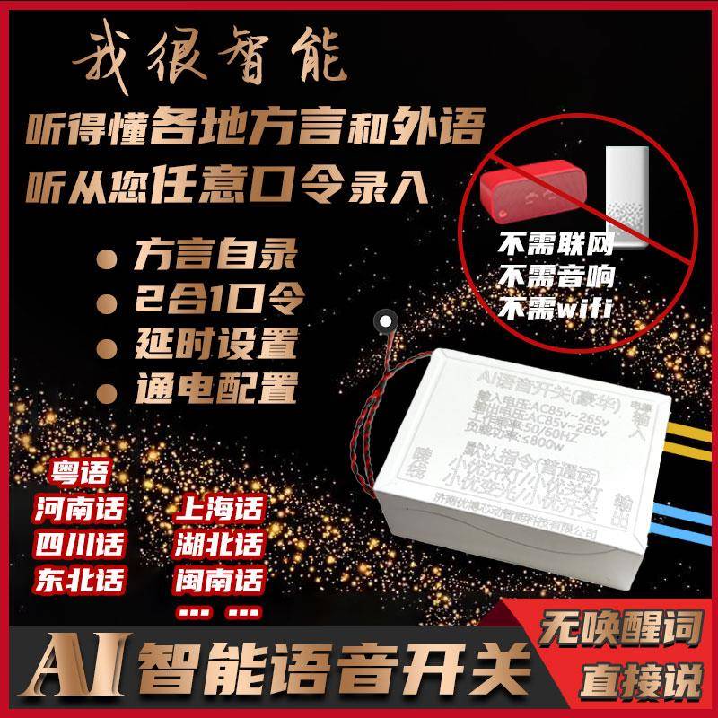 语音智能开关离线声控灯识别无线遥控免唤醒定时关闭方言开灯关灯