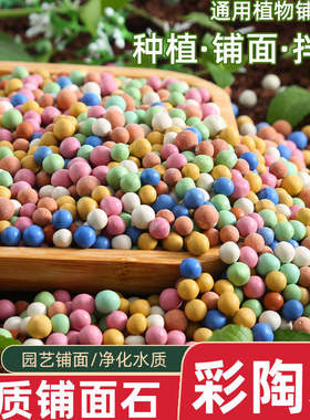 彩色陶粒颗粒花用垫底花卉铺面透气养花水培盆栽铺面石多肉营养