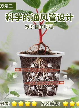 新款盆土通风管通气管透气管防闷根烂根根腐病透气管花盆爆根透明