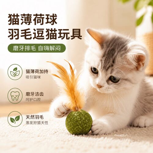 猫薄荷羽毛逗猫棒自嗨磨牙排毛