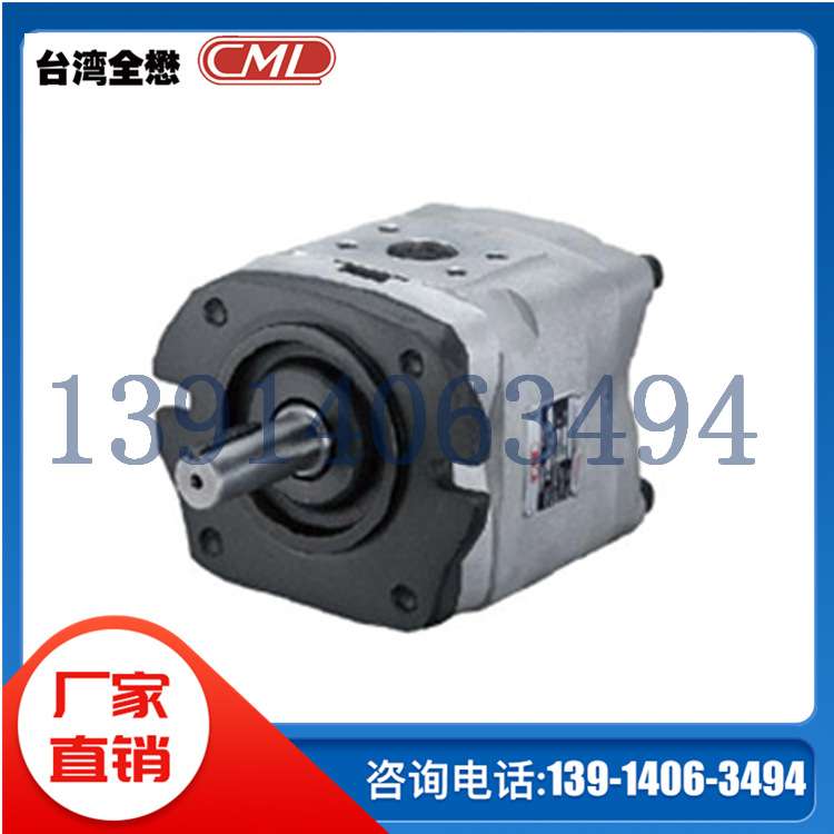 IGM-3F-10-R-20 IGM-4F-20-R-20 IGM-5F IGM-6F台湾CML全懋齿轮泵
