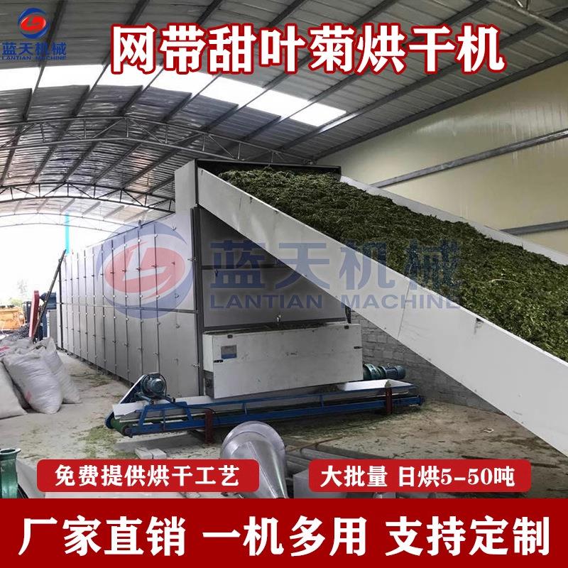 甜叶菊烘干机 连续式甜菊甜草糖草瑞宝泽兰干燥机 甜叶菊叶烘干线