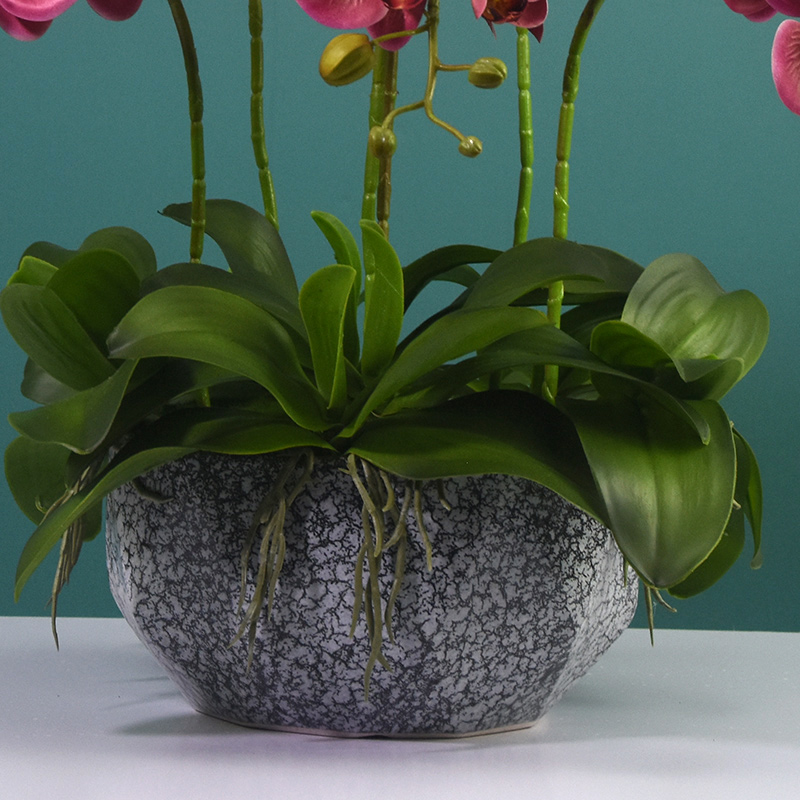 蝴蝶兰仿真花高档兰花假花绿植盆栽客厅餐桌玄关前台装饰花艺摆件