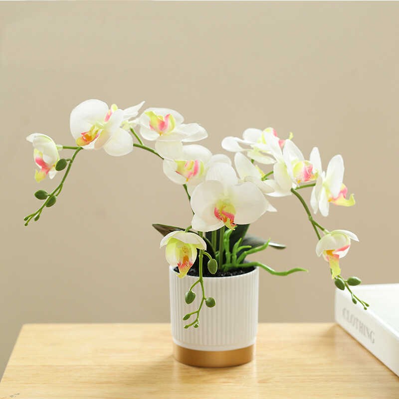 仿真蝴蝶兰盆栽假花摆件室内客厅餐桌装饰品超市陈列货架盆景摆设