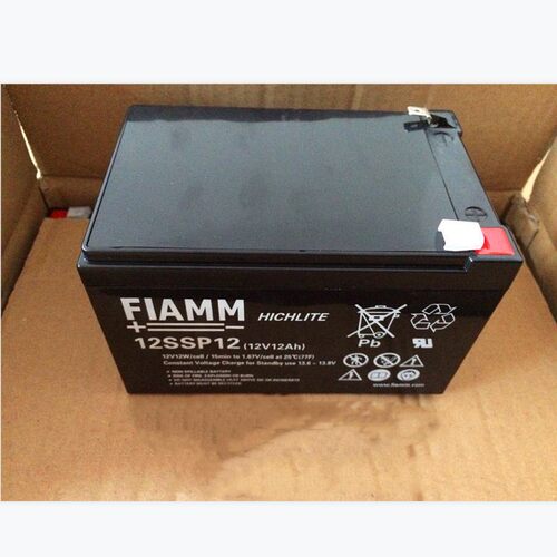 非凡蓄电池12SSPFIAMM阀