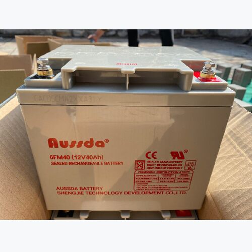 AUSSDA/奥斯达蓄电池6FM4