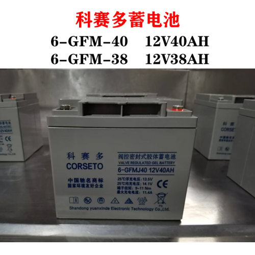 科赛多蓄电池6-GFM-40质