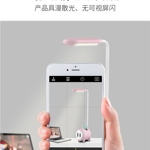泰格信台灯时尚创意LD护眼充电插电二用卡通猪笔