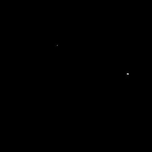 黑色绒布复古提杨梅树新款法式窗帘布加厚遮光成品客厅卧室窗帘