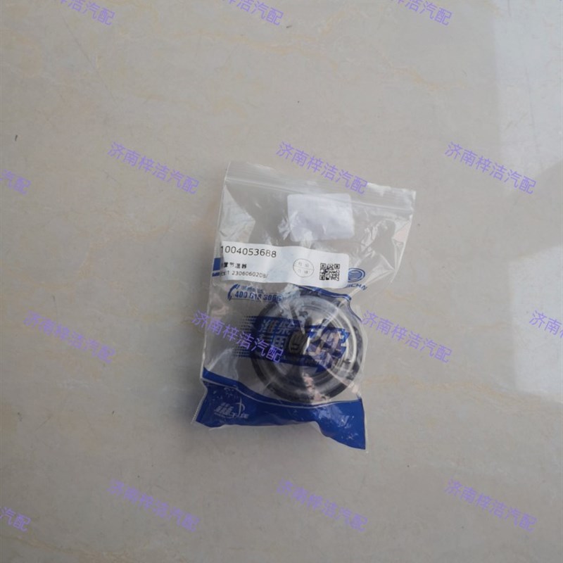 10053688锐动力节温器 WP4.1/WP3N