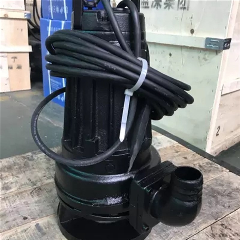 蓝深AS10-2CB撕裂式潜水泵污水提升器专用自耦移动式安装
