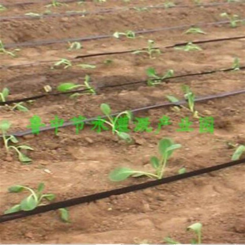 新型滴灌带片式滴管农用滴灌管大棚蔬菜滴管带水带全设备