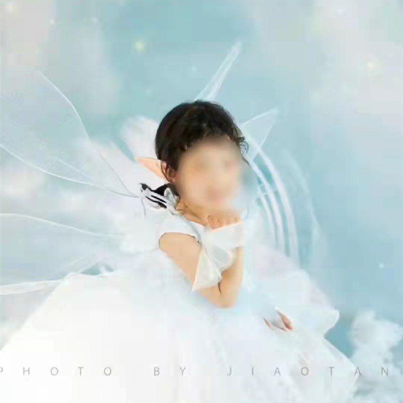 儿童摄影背景新款儿童蓝色羽毛拍照背景纸室内写真拍照背景布