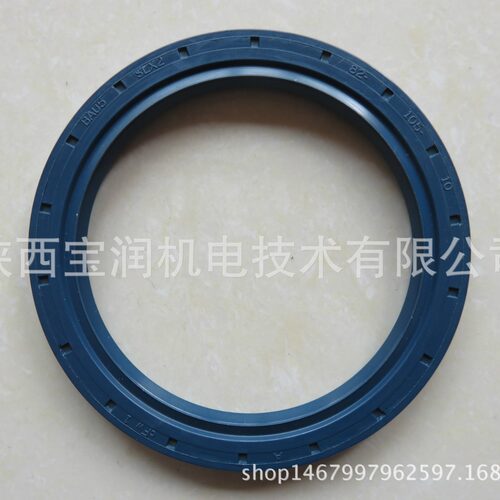 Simrit骨架油封BAUSLX282X105
