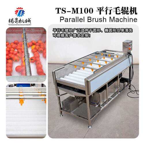 专业制作刺梨清洗机 辊刷式果蔬清洗去泥机 全自动平行毛辊清洗机