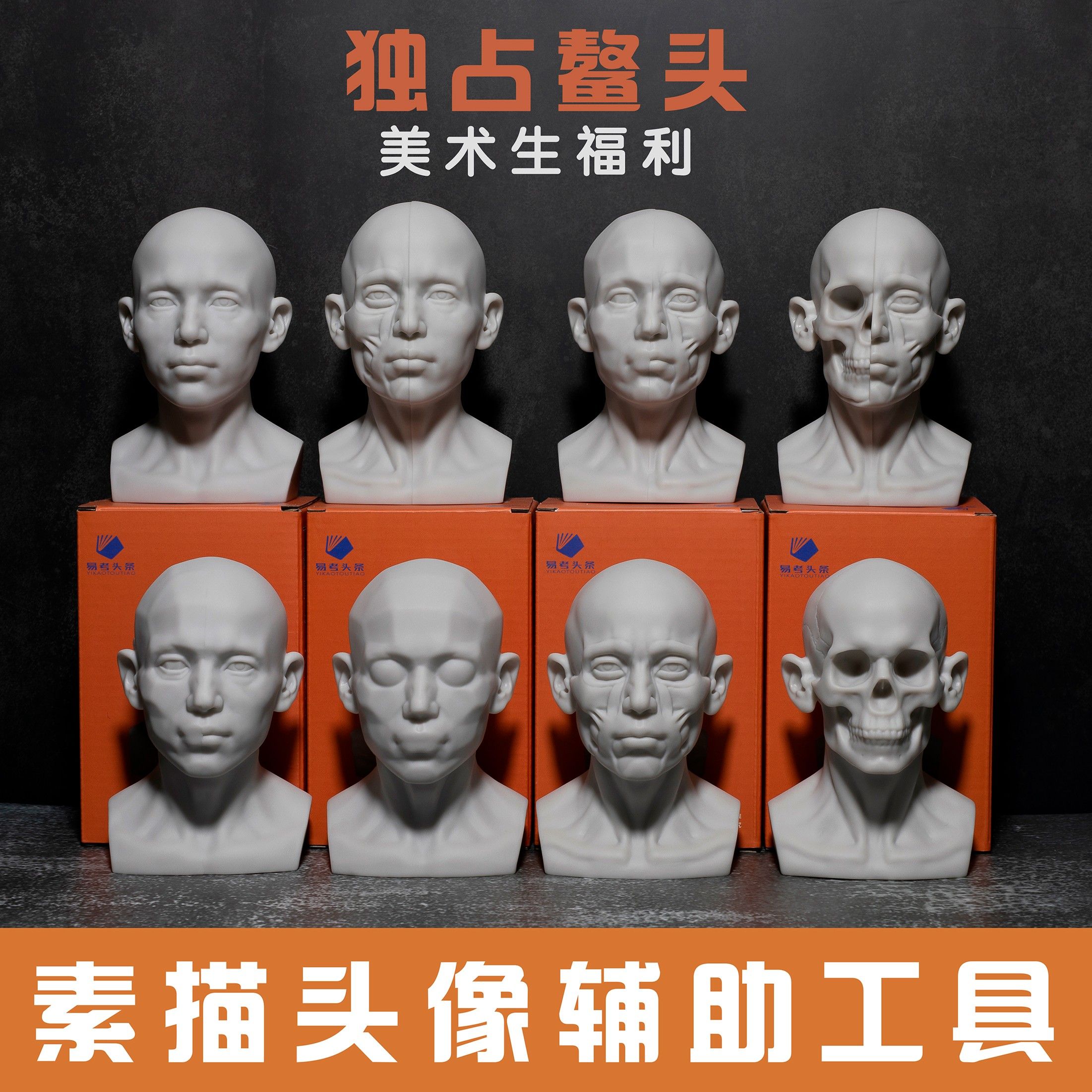 素描教具美术生头像辅助工具石膏像树脂雕塑头骨体面骨骼肌肉模型