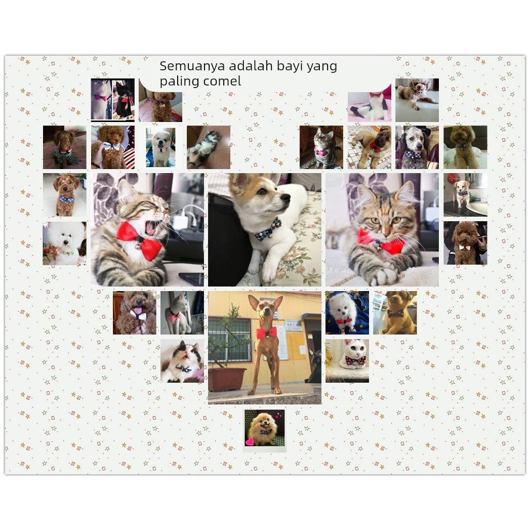 宠物狗狗领结 泰迪蝴蝶结领带 猫咪铃铛项圈 猫铃铛领结 宠物饰品