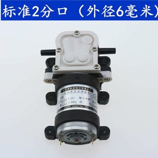 24V2分口555隔膜泵RO膜净水机自吸泵增压泵饮水机糖浆泵可乐机泵