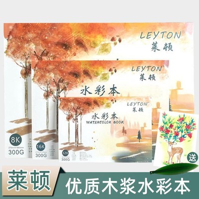 莱顿水彩纸木浆水彩本300g加厚8K16K32K初学者美术专用枫丽水彩纸