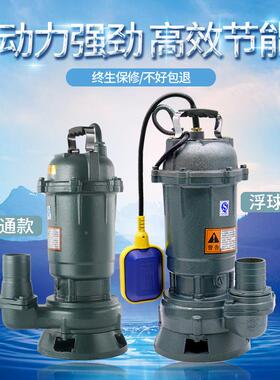 排家污泵污434水泵220v水泵家抽水泵用抽灌溉用污水提升泵水自农