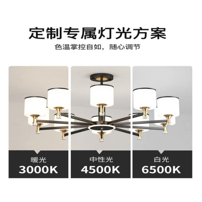 客2厅吊灯025年新款861灯具简约气大新中灯式店铺商用餐厅主跨境