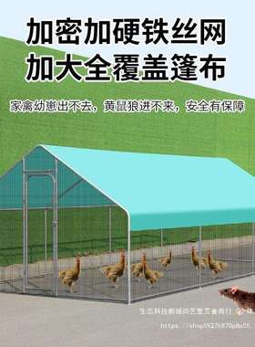 户外孔鸡棚鸡笼FGU子大养鸡鸽笼鸭家禽型雀篷遮雨鸡舍搭建家用养