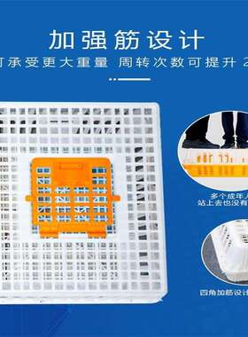 鸡笼输笼塑料家禽周转箱筐成鸡鸭KJO运鹅鸽子子笼家兔用大号笼养