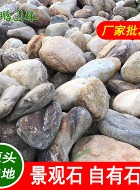 广东基地万吨 产地青麻石 英德天然景观桐庐石日式庭院造景置