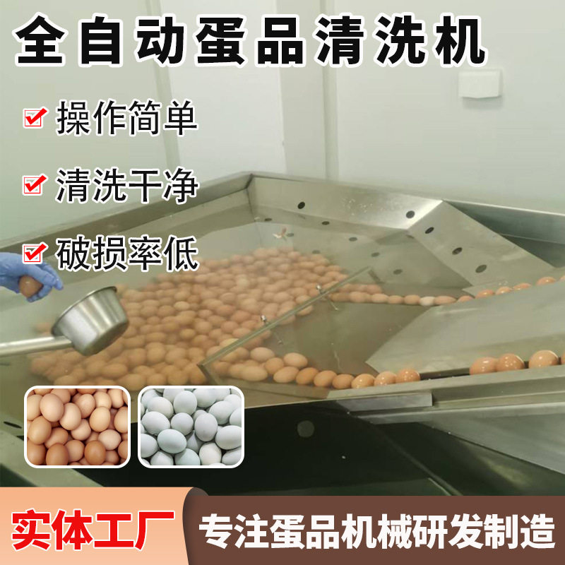 卤蛋裹泥蛋洗蛋机双排蛋品清洗机每小时可清洗12000枚食品厂专用,清洗/食品/商业设备,打蛋机/洗蛋机/磕蛋机,淘宝优惠券,粉丝福利购,淘宝优惠卷