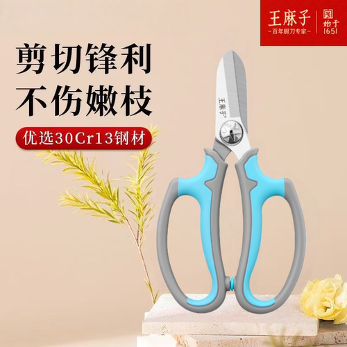 王麻子专业花艺剪园艺剪刀