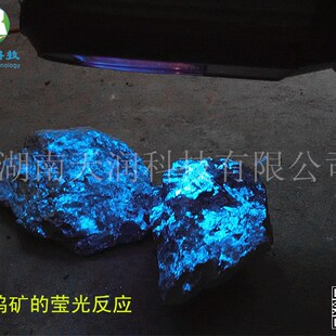 白钨紫光灯白钨荧光灯找钨照钨探矿紫外灯矿用紫光灯ZGDC