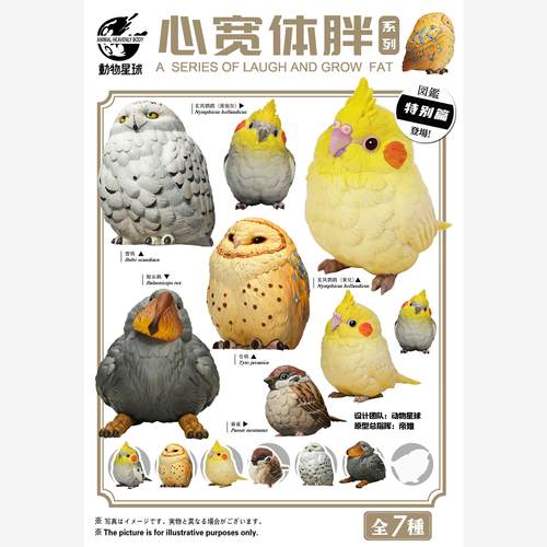模玩预售动物星球鸟系列扭蛋