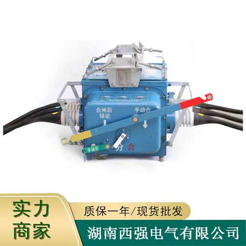 FZW28F-12/T630户外分界智能真空断路器10KV高压电动负荷杆上开关