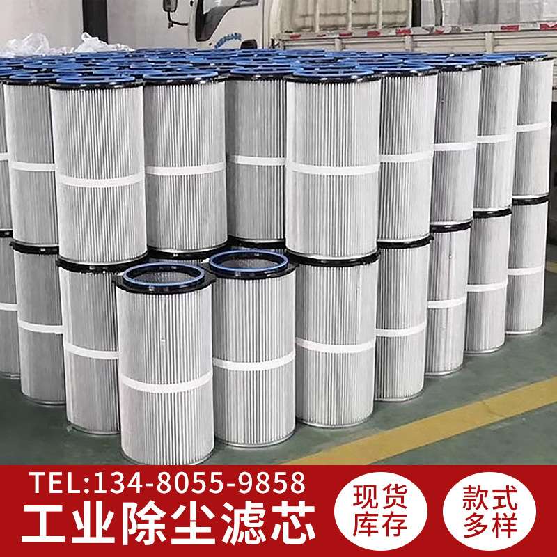 铁盖螺杆除尘滤芯滤筒工业配件抛丸喷砂机喷涂机高耐污