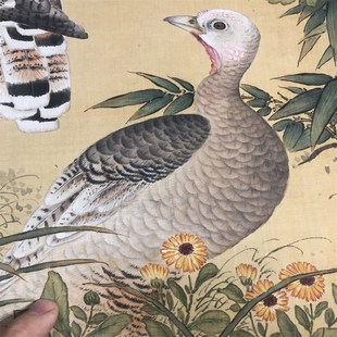 余省 牡丹绶图 工笔鸟画国画高微喷复制装饰画挂轴装裱