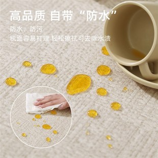 地毯客厅奶油风异形不规则卧室床边毯免洗可擦沙发茶几垫防水地垫