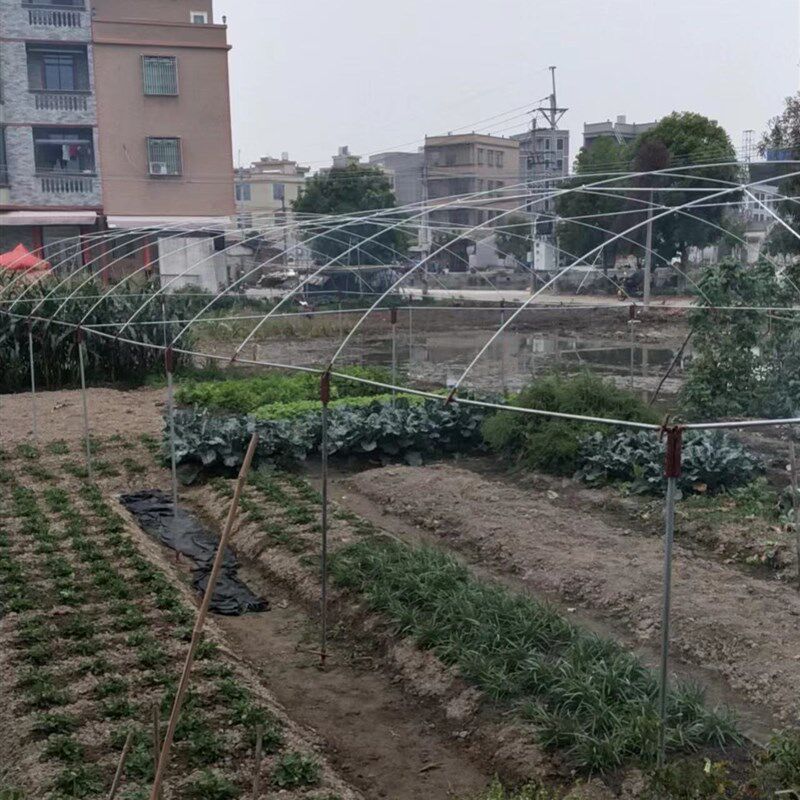 小拱棚杆蔬菜棚保温棚棚拱棚支架农用遮阳网园艺大棚纤维杆