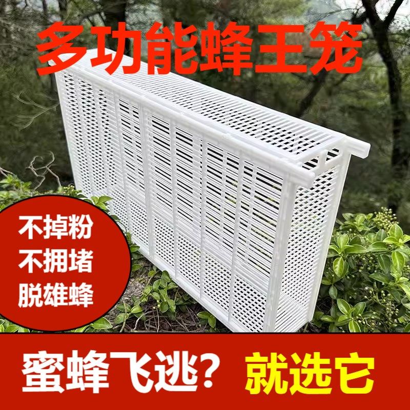中蜂防逃框蜜蜂箱塑料中意蜂通用囚王蜂养蜂隔栅工具,畜牧/养殖物资,蜂蜜桶,淘宝优惠券,粉丝福利购,淘宝优惠卷