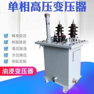 变压器13.8KV变220V10KV变0.23KV户外高压变压器 单相油浸式