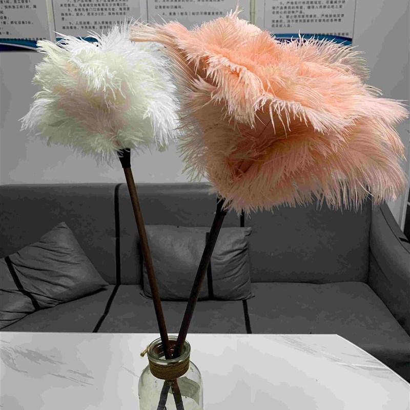 肉粉鸵鸟毛撢子胡桃木柄鸡毛撢子静电除尘掸家用扫车桌面装饰掸