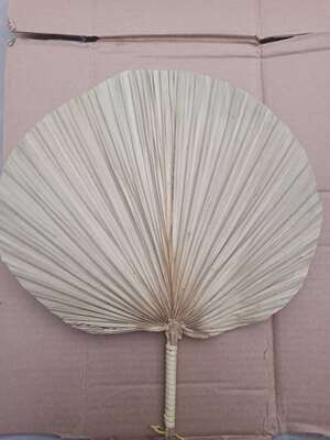 古典舞蹈我和月亮说句话扇子芭蕉扇子济公扇子舞蹈绘画扇