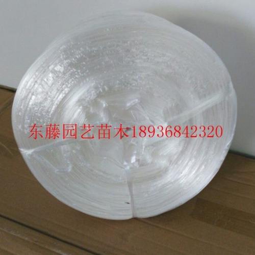 撕裂带/捆扎绳/塑料绳子/打包绳/扎带绳/扎口绳子/包装绳子 包邮