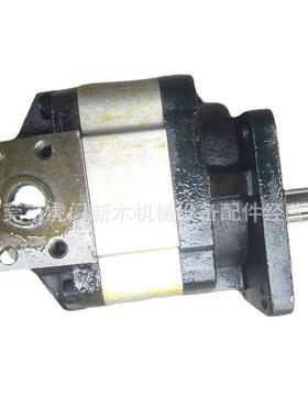 云南齿轮泵CB-G2100