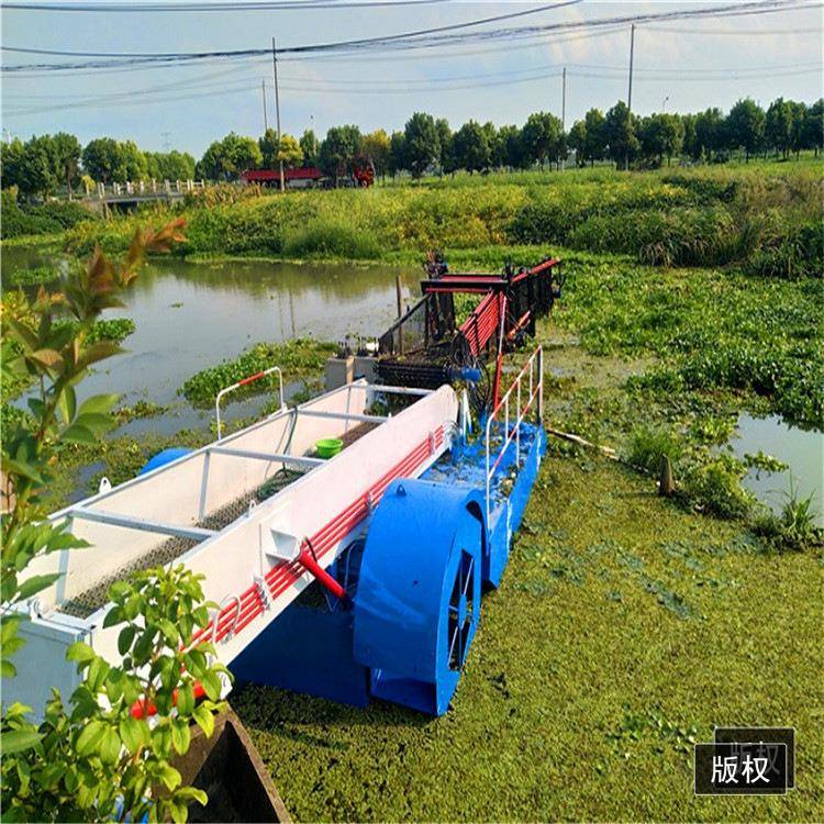 山东厂家直销大型割草船河道自动除草设备湖泊清理芦苇收割技术
