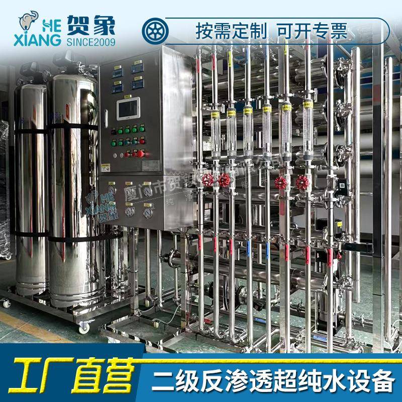 大型二级反渗透3水处理机RO膜双级4工业纯净水5过滤设备100吨厂家