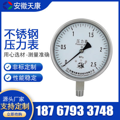 天康/艾能不锈钢压力表YB-100膜盒隔膜耐震双管双针差压/压力表。